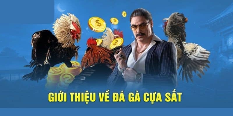 Mãn Nhãn Cùng Các Trận Đá Gà Cựa Sắt Đẳng Cấp Tại New88 1 Đôi nét về hình thức đá gà cựa sắt hấp dẫn ở nhà cái New88